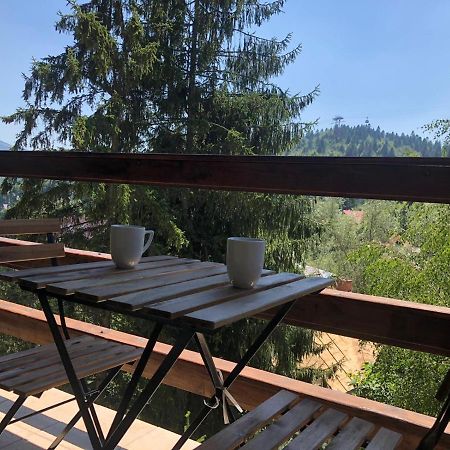 Forest Apartments By Olala Homes Sinaia Esterno foto