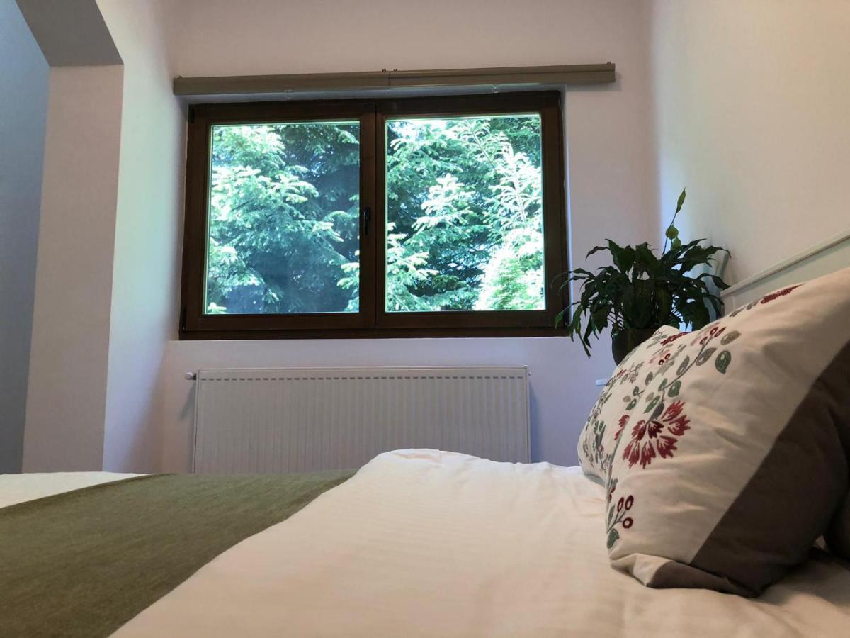 Forest Apartments By Olala Homes Sinaia Esterno foto